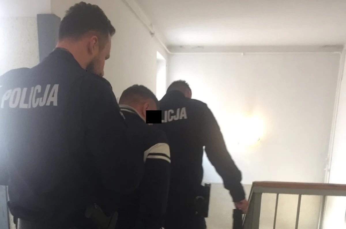 Policyjne małżeństwo z Targówka postanowiło w weekend udać się na grzyby. Jadąc do lasu zauważyli samochód, za kierownicą którego siedziała partnerka poszukiwanego listem gończym przestępcy. On sam siedział z tyłu, jako pasażer. Policjanci zatrzymali podejrzane auto i wezwali wsparcie. Poszukiwany trafił do aresztu.
