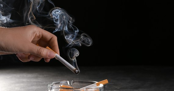 Zakaz sprzedaży papierosów mentolowych, wprowadzony w Europie w połowie 2020 roku, zgodnie z intencjami przyczynia się do skuteczniejszej walki z nałogiem tytoniowym - przekonują wyniki przeprowadzonych w Holandii badań. Opublikowane dziś na łamach czasopisma "Tobacco Control" dane wskazują na to, że po wprowadzeniu zakazu palenie rzuciło tam nieco ponad 26 proc. osób palących "mentole" i nieco ponad 14 procent palących papierosy zwykłe. Autorzy pracy uznają, że te doniesienia mogą mieć znaczenie dla innych krajów, które dopiero rozważają taką decyzję.
