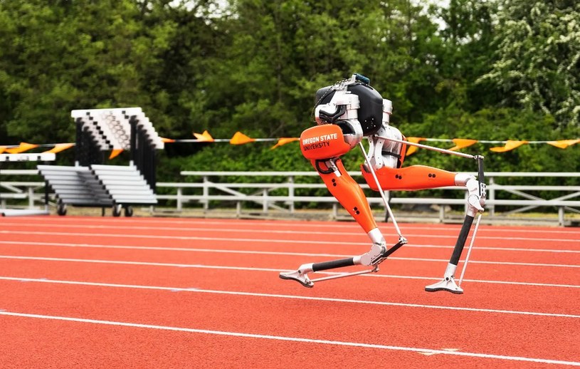 Oregon State University pochwaliło się swoim najnowszym osiągnięciem, a mianowicie skonstruowany przez inżynierów placówki dwunożny robot imieniem Cassie ustanowił rekord Guinnessa w biegu na 100 metrów.
