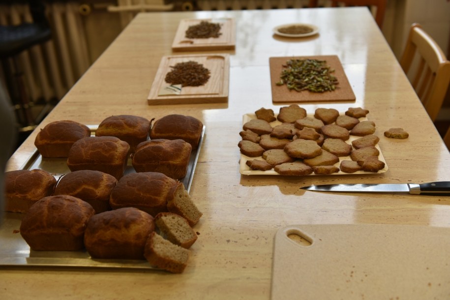 /Uniwersytet Ekonomiczny we Wrocławiu /Materiały prasowe