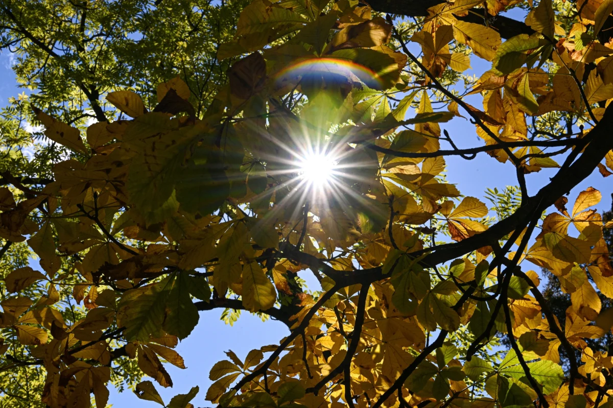 Nareszcie doczekamy się złotej polskiej jesieni. Po chłodnym i deszczowym weekendzie i pierwszych dniach przyszłego tygodnia, w środę możemy liczyć na znaczne ocieplenie. W Zielonej Górze słońce rozgrzeje termometry nawet do 24 st. C.