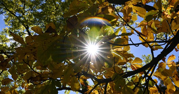 Nareszcie doczekamy się złotej polskiej jesieni. Po chłodnym i deszczowym weekendzie i pierwszych dniach przyszłego tygodnia, w środę możemy liczyć na znaczne ocieplenie. W Zielonej Górze słońce rozgrzeje termometry nawet do 24 st. C.