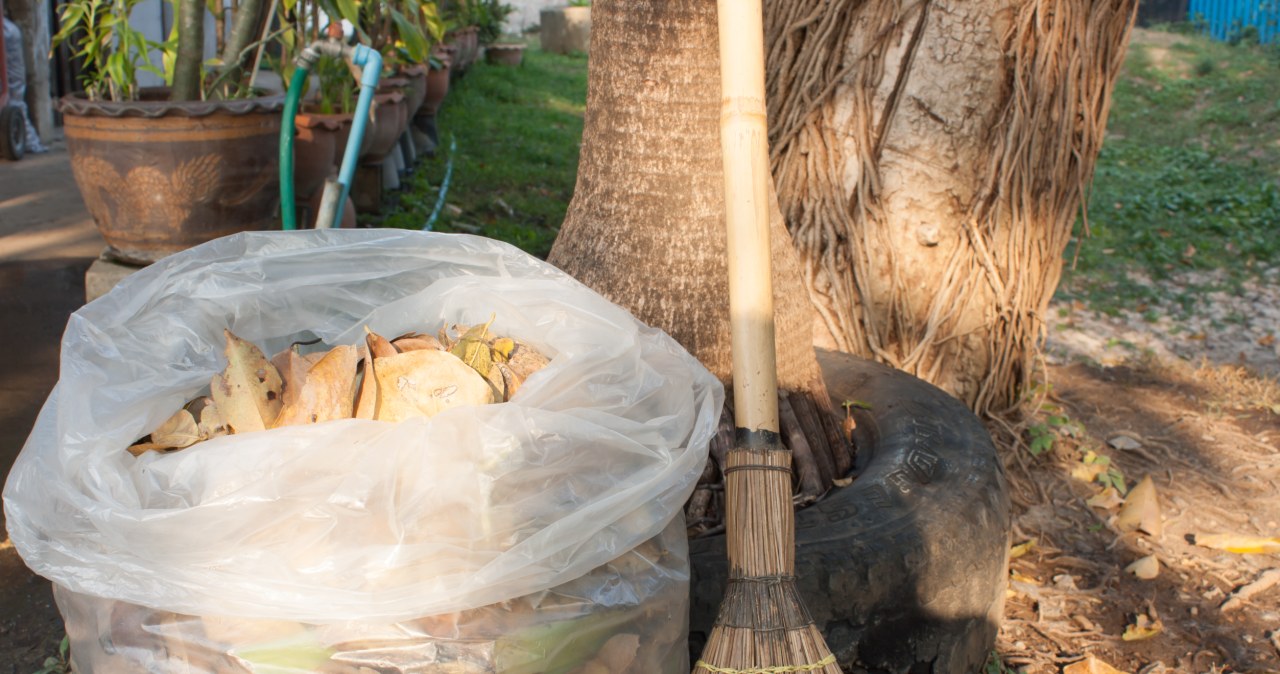 Pod żadnym pozorem nie rób tego w ogrodzie. Kara sięga choćby 5 tys. zł