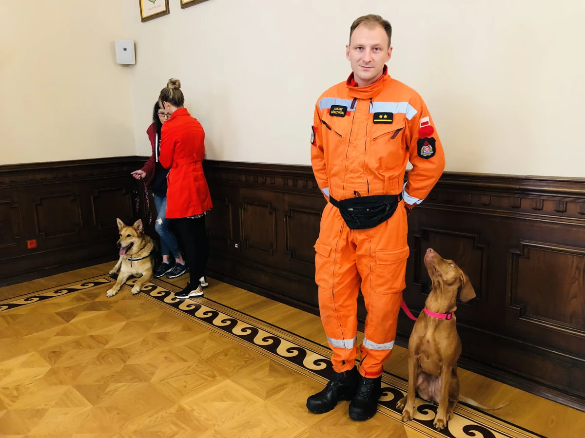 Ratują, prowadzą, leczą i pomagają ludziom skuteczniej wykonywać ich obowiązki. W Dniu Zwierząt pokazujemy psy, które "pracują" dla swoich opiekunów.