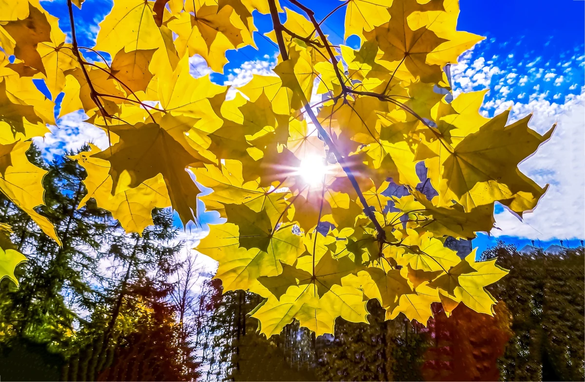 Nawet 21 stopni Celsjusza pokażą termometry w środę w Polsce. Synoptycy prognozują do końca tygodnia złotą, polską jesień. Ma być znacznie cieplej niż w ostatnich dniach. 