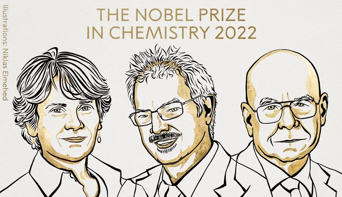 Wybrano tegorocznych laureatów Nagrody Nobla z chemii