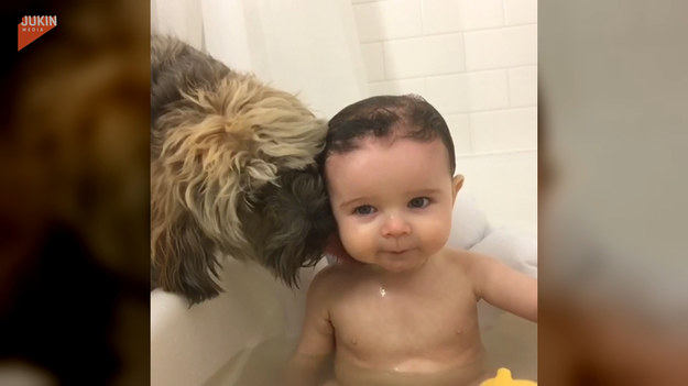 Ten pies uwielbia towarzyszyć swojemu małemu przyjacielowi podczas kąpieli. To prawdziwy salon spa!