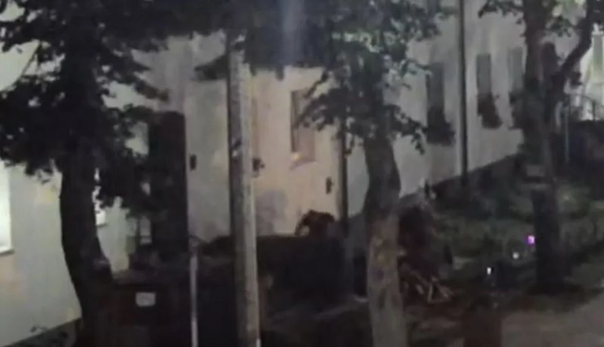 Policjanci z Rumii rozwiązali sprawę usiłowania zabójstwa młodej kobiety. Podejrzany o ten czyn 38-latek został zatrzymany w Holandii.

