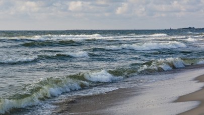 Kaliningrad jest czeski. Polacy i Czesi prześcigają się w żartach