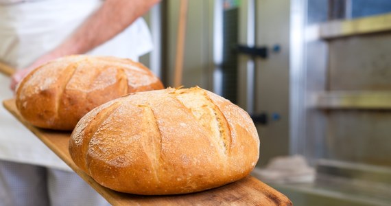 Tylko do końca roku będzie można kupić chleb wypiekany w znanej w Trójmieście piekarni "Bochen". Spółdzielnia pracy prowadząca firmę jest w stanie likwidacji. Nie udźwignie rosnących kosztów produkcji i pracy.

