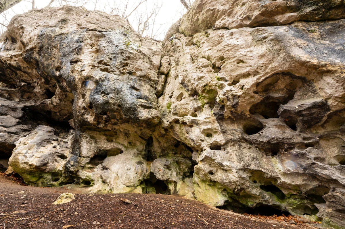 Nie kilkadziesiąt tysięcy lat, ale około pół miliona lat mają narzędzia krzemienne odkryte ponad 50 lat temu w jaskini Tunel Wielki w Małopolsce – wynika z najnowszych analiz. Oznacza to, że są to jedne z najstarszych na obecnych ziemiach Polski wytwory rąk człowieka.