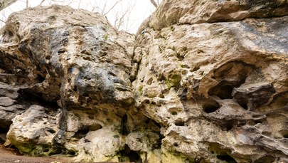 Narzędzia krzemienne z jaskini Tunel Wielki mają ok. pół miliona lat