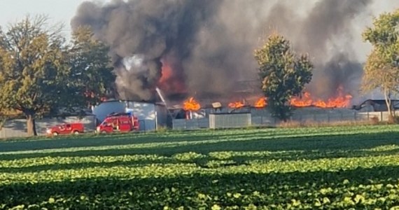​Pożar fabryki mebli w miejscowości Łąkie w Lubuskiem. Dym widać z odległości kilku kilometrów.