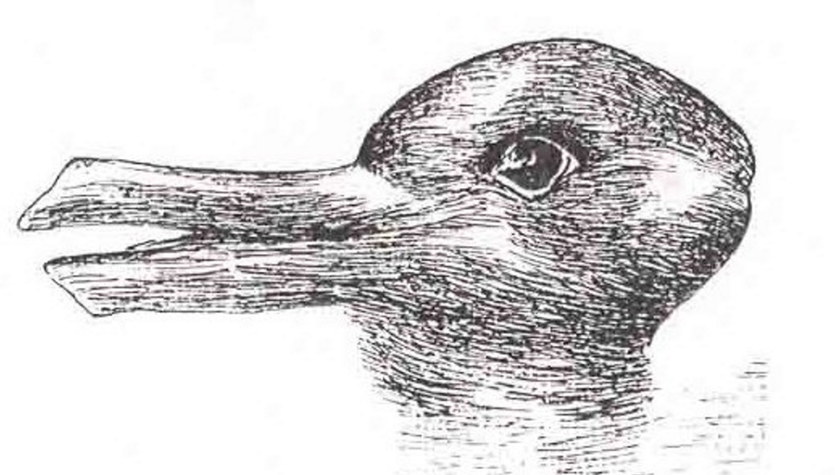 ¿Pato, conejo o ambos?  ¿Qué viste en la imagen?  Explicación