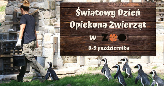 Międzynarodowy Dzień Zwierząt i ich Opiekunów obchodzić będzie przez cały weekend gdańskie ZOO. Dziś i jutro odwiedzający będą mogli porozmawiać z opiekunami wielu gatunków zwierząt. 