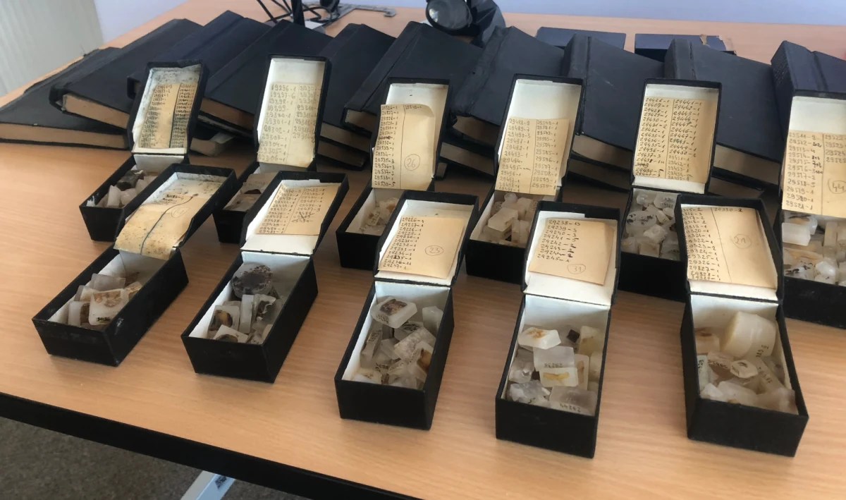 Próbki nowotworów sprzed dziewięćdziesięciu lat znaleziono w archiwach Narodowego Instytutu Onkologii w Warszawie. Naukowcy przekonują, że są w nich informacje istotne dla zdrowia współcześnie żyjących.