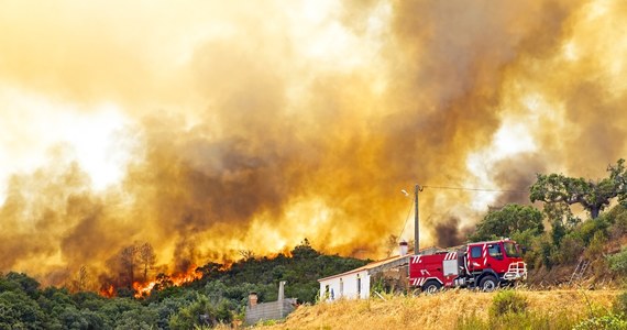 ​W ciągu ostatniej doby na terenie Portugalii wybuchło kilkanaście pożarów lasów i nieużytków rolnych. Największe z nich szaleją w sobotę w pięciu dystryktach środkowej i północnej części kraju.