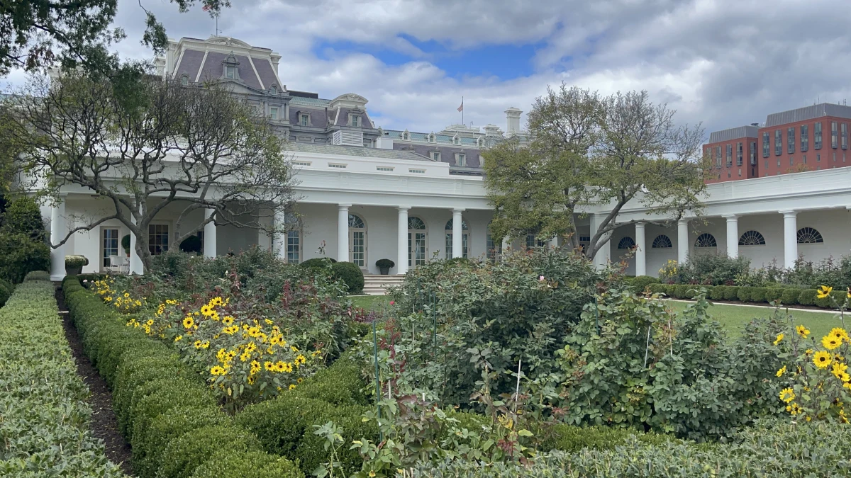 Kilka tysięcy ludzi w ogrodach Białego Domu. Dwa razy w roku, wiosną i jesienią, mieszkańcy Waszyngtonu i turyści mają okazję zobaczyć z bliska to, co każdego dnia ogląda amerykański prezydent. To jest właśnie ten weekend, kiedy każdy może wejść na spacer na teren Białego Domu. Zainteresowanie jest ogromne, bo to w sumie jedyna taka okazja, by pospacerować po zielonych terenach, po których przechadzają się przywódcy USA, zapoznać się z historią tego miejsca, zobaczyć archiwalne zdjęcia z wydarzeń, jakie miały tu miejsce. 