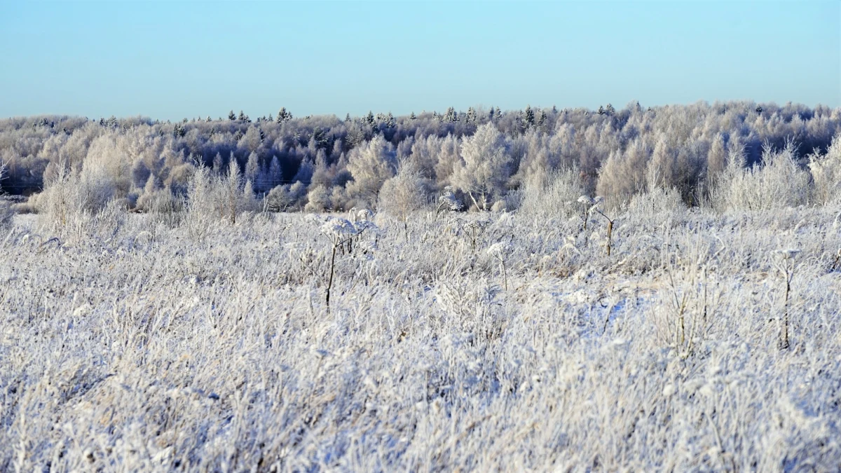 Zima będzie cieplejsza niż zwykle, pozwoli zaoszczędzić nieco na ogrzewaniu. Święta raczej po wodzie, niż po lodzie. Śnieg, choć będzie padał, nie utrzyma się na nizinach. Na narty tylko w wysokie góry – wynika z prognoz długoterminowych przygotowanych przez IMGW-PIB.