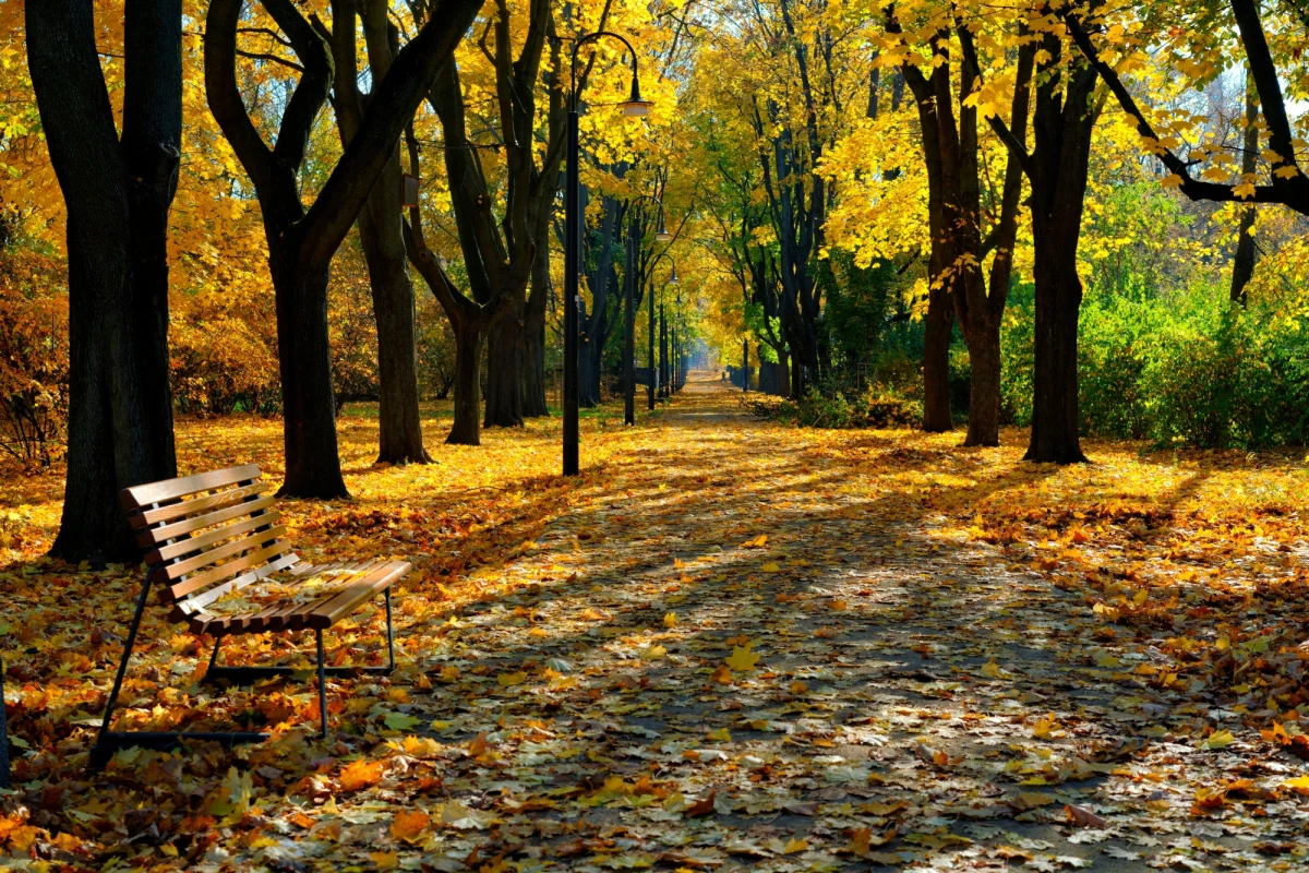 ​Poniedziałek będzie słoneczny i bez deszczu w całym kraju. Jak powiedziała Dorota Pacocha z Centralnego Biura Prognoz IMGW-PIB, na południowym zachodzie powrócą temperatury osiągające do 20 stopni Celsjusza.