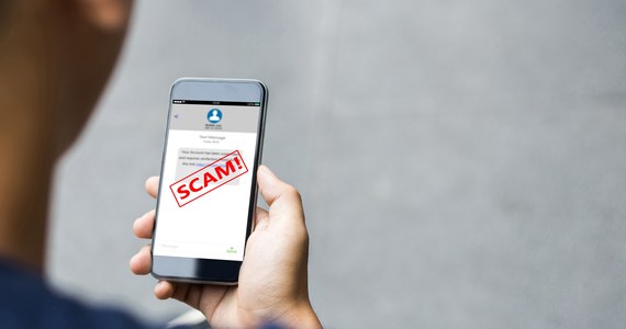 Cyberprzestępcy przesyłają fałszywe wiadomości SMS z informacją o możliwości otrzymania pieniędzy, by wyłudzić poświadczenia logowania do bankowości elektronicznej - przestrzega w poniedziałek zespół cyberbezpieczeństwa polskiego sektora finansowego - CSIRT KNF.