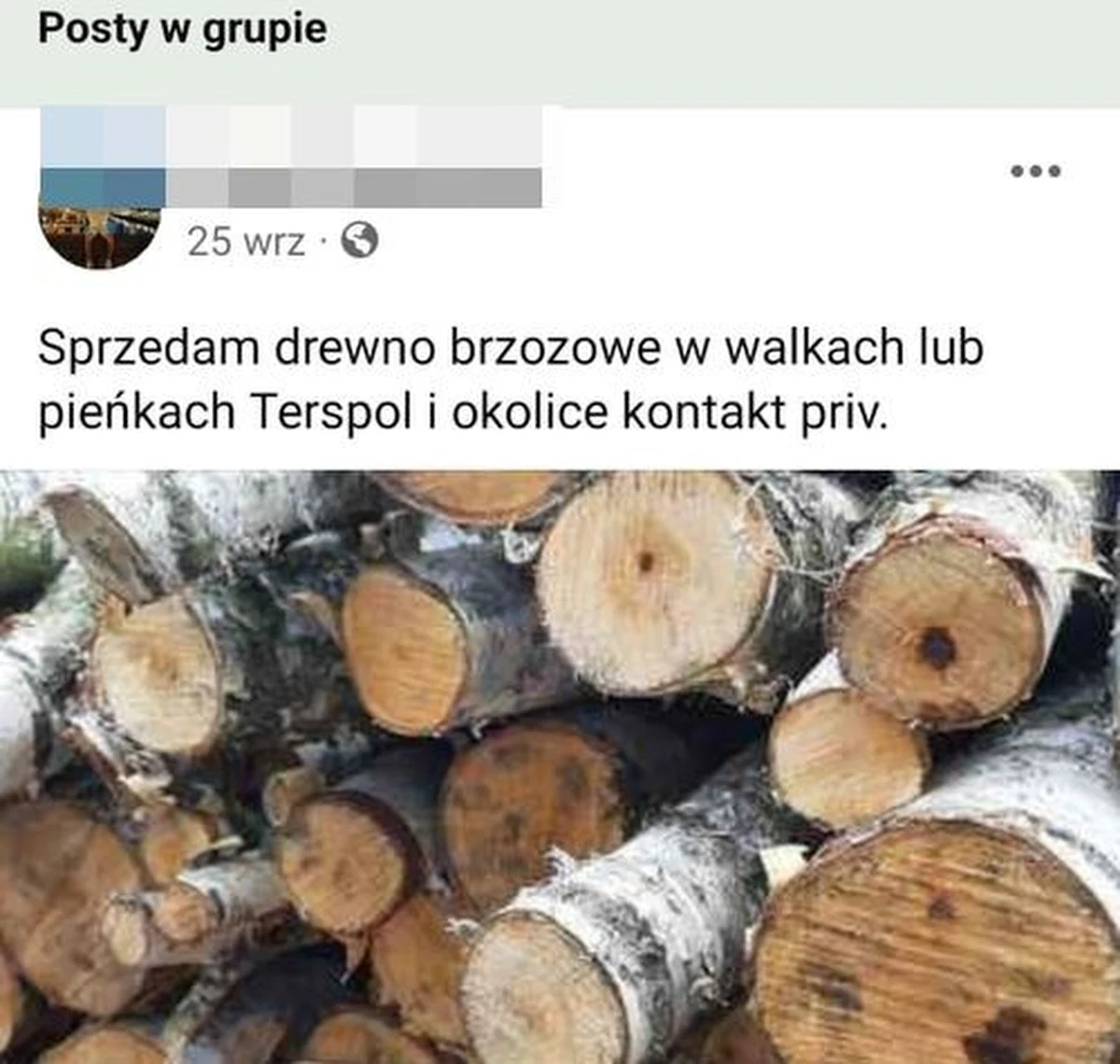 Ponad 170 drzew wyrąbali i skradli trzej 23-latkowie na jednej z działek w gminie Piszczac na Lubelszczyźnie. Skradzione drewno oferowali do sprzedaży na portalu ogłoszeniowym. Wpadli, bo na miejscu kradzieży zastali ich właściciele działki. 