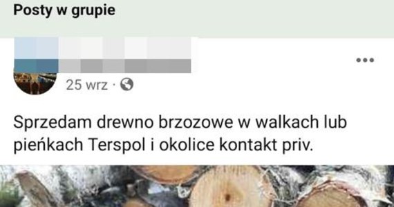 Ponad 170 drzew wyrąbali i skradli trzej 23-latkowie na jednej z działek w gminie Piszczac na Lubelszczyźnie. Skradzione drewno oferowali do sprzedaży na portalu ogłoszeniowym. Wpadli, bo na miejscu kradzieży zastali ich właściciele działki. 