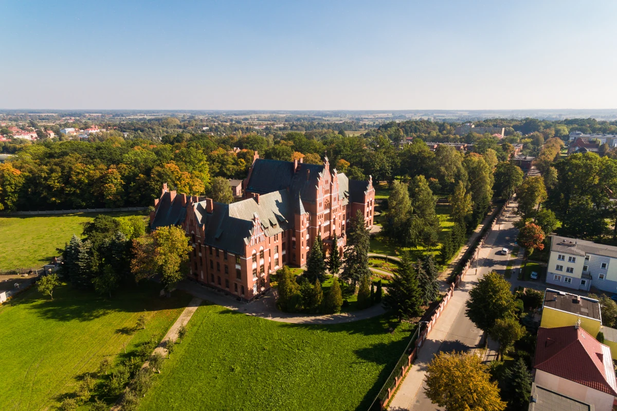 Zniszczony sejf, tabliczka dawnej kasy Miejskiego Ogniowego Towarzystwa Ubezpieczeniowego, kapsel i fragment kafla - to pierwsze przedmioty znalezione podczas prac archeologicznych w miejscu dawnego braniewskiego ratusza. 