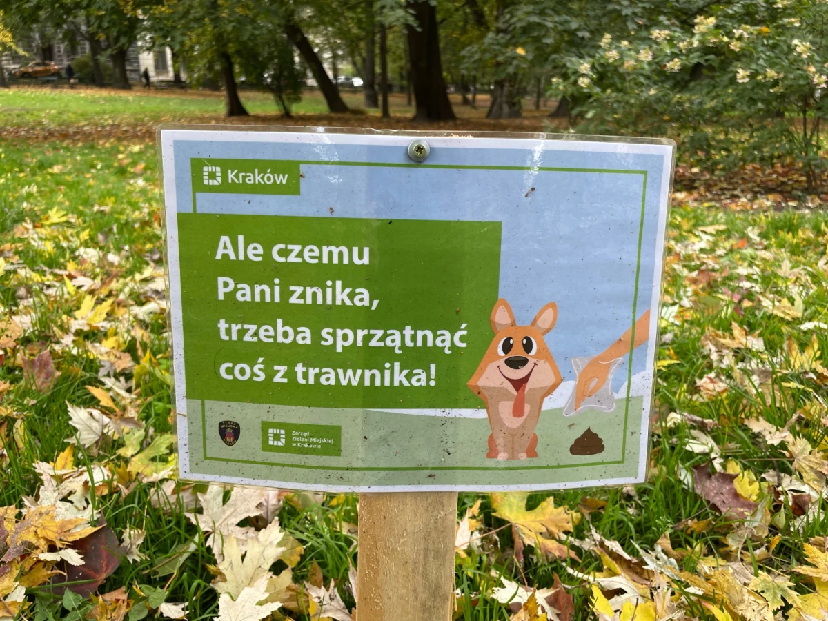 ​Zamiast ostrzeżeń o możliwym mandacie - zabawna rymowanka. W taki sposób straż miejska i Zarząd Zieleni Miejskiej w Krakowie zachęcają do sprzątania po psach załatwiających swoje potrzeby fizjologiczne.
