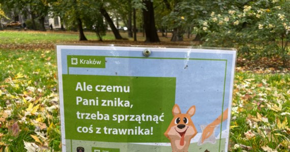 ​Zamiast ostrzeżeń o możliwym mandacie - zabawna rymowanka. W taki sposób straż miejska i Zarząd Zieleni Miejskiej w Krakowie zachęcają do sprzątania po psach załatwiających swoje potrzeby fizjologiczne.