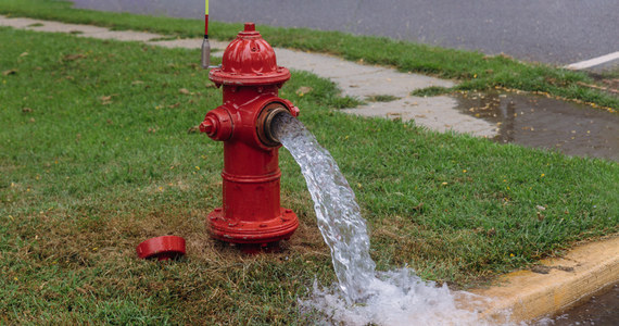 Otoczony krawężnikiem, przysypany ozdobnymi kamieniami, z posadzoną  w środku tują - takie zdjęcie hydrantu w mediach społecznościowych zamieścili strażacy ochotnicy z Górki Pabianickiej (woj. łódzkie). Według nich, w razie pożaru, hydrant jest bezużyteczny, bo woda z niego nie ma szans popłynąć.