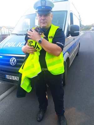 /KPP Świdnica /Policja