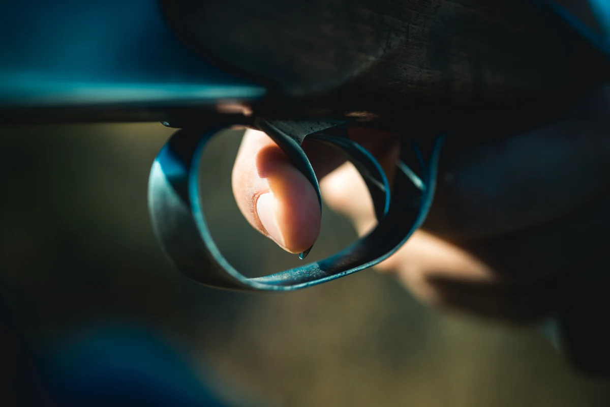 3-letnia dziewczynka została postrzelona ze strzelby gładkolufowej przez swoją matkę, gdy kobieta celowała do znajdujących się w kurniku szczurów. Dziecko trafiło do szpitala z obrażeniami klatki piersiowej, ramienia i okolicy barku. Mąż kobiety chciał w nietypowy sposób pomóc swojej żonie uniknąć odpowiedzialności za to zdarzenie.