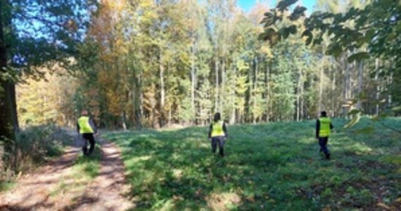 64 policjantów z kilku komend, przewodnicy psów tropiących, funkcjonariusze Grupy Ratowniczo - Poszukiwawczej z Wrocławia oraz strażacy szukali zaginionej 75-latki z Targoszyna na Dolnym Śląsku. Chora na Alzheimera seniorka został odnaleziona w kompleksie leśnym 5 km od domu.

