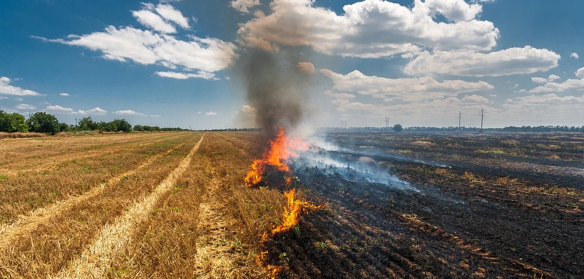 ​Niepołomiccy i wieliccy policjanci zatrzymali 14-latka, który odpowiada za serię podpaleń w Niepołomicach. W maju i czerwcu bieżącego roku spłonęły bele siana, ciągniki rolnicze i samochód dostawczy. Straty poniesione wskutek pożarów przekroczyły 55 tysięcy złotych. O dalszych losach 14-letniego podpalacza zadecyduje sąd rodzinny.