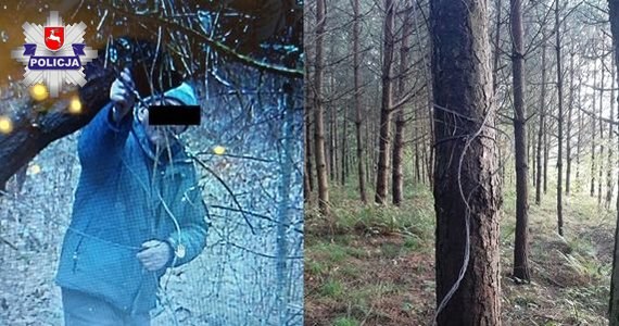 69-latek z gminy Bełżec odpowie za kłusownictwo. Przypuszczenia myśliwych i policjantów, że to on stoi za zabiciem w lesie jelenia, potwierdziły zdjęcia z fotopułapki i mięso znalezione w zamrażace.    

