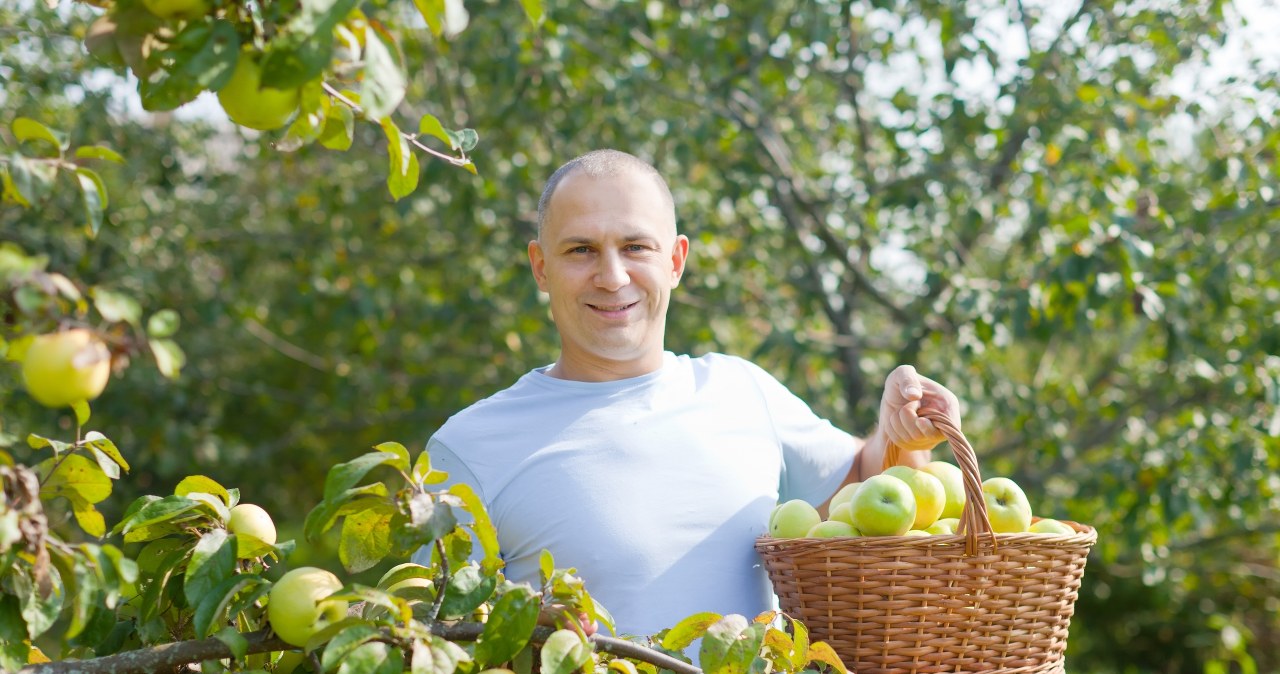Te drzewa i krzewy koniecznie przytnij jeszcze w lipcu. Inaczej nie będą rosły