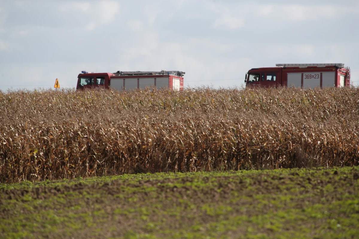 Służby techniczne PERN przywróciły pełną funkcjonalność uszkodzonej nitki rurociągu "Przyjaźń", którym dostarczana jest ropa z Rosji do Niemiec. Jak podała spółka, dostawy odbywają się przy wykorzystaniu obydwu nitek odcinka zachodniego.