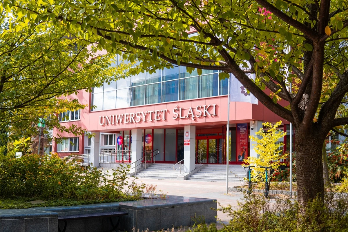 Uniwersytet Śląski w Katowicach wprowadza program oszczędnościowy prądu, ciepła i wody na czas kryzysu. Uczelnia m.in. ograniczy oświetlenie do minimum wymaganego przepisami prawa. 