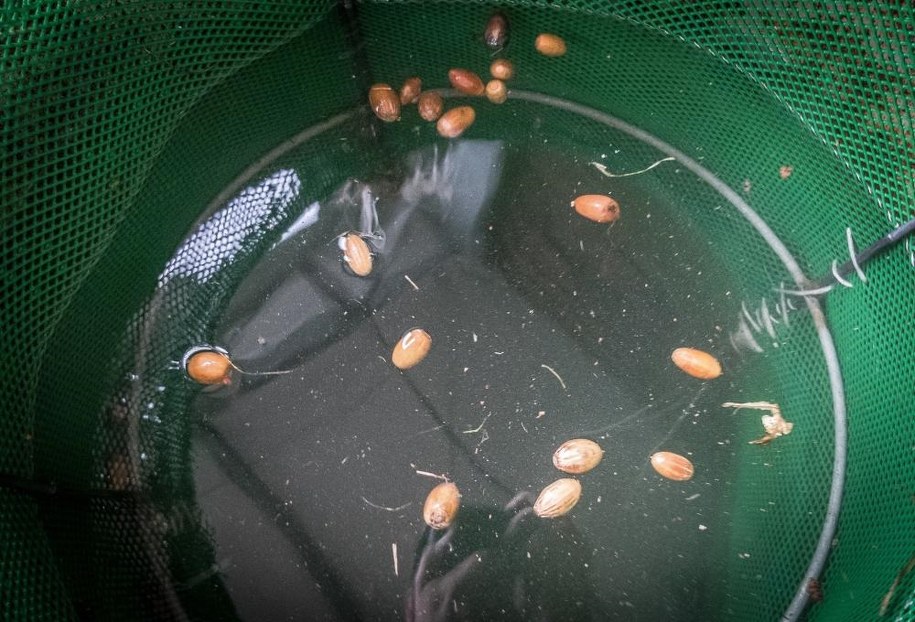 /Piotr Bułakowski /RMF FM