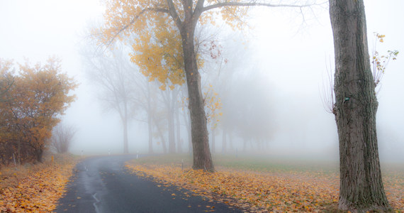 Instytut Meteorologii i Gospodarki Wodnej wydał ostrzeżenia pierwszego stopnia przed gęstą mgłą. Dotyczą one ośmiu województw. 