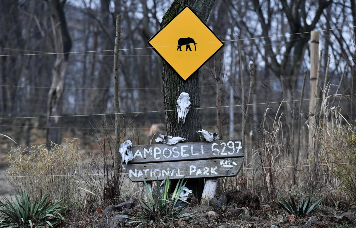 Miejski Ogród Zoologiczny w Warszawie podniesie ceny biletów o 5 złotych - przyznał w rozmowie z reporterką RMF FM Anną Zakrzewską dyrektor placówki Andrzej Kruszewicz. Zastrzegł, że nie ma jeszcze ostatecznej decyzji, kiedy zostanie wprowadzona podwyżka. Pod uwagę brane są dwa terminy - początek roku i początek wiosny. 