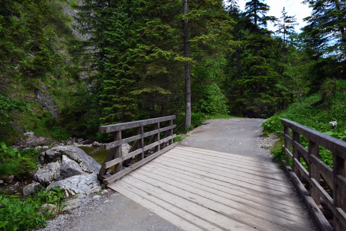 Od wtorku do odwołania zamknięty będzie fragment bardzo popularnego szlaku turystycznego w Tatrach - Drogi pod Reglami. Rozpoczyna się tam remont mostu i nawierzchni. 