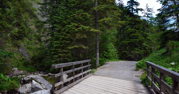 Od wtorku do odwołania zamknięty będzie fragment bardzo popularnego szlaku turystycznego w Tatrach - Drogi pod Reglami. Rozpoczyna się tam remont mostu i nawierzchni. 