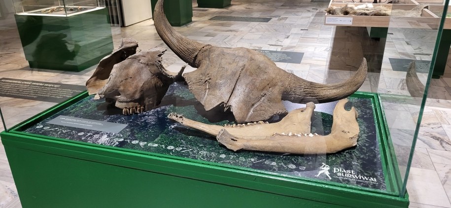 /Beniamin Piłat /RMF FM