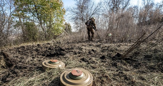 Okupacyjne władze wywożą z obwodu chersońskiego tych, którzy z nimi współpracują - podkreślił Wołodymyr Litwinow, przedstawiciel lojalnych wobec Kijowa władz tego regionu na południu Ukrainy, komentując ogłoszoną "ewakuację części cywilów".