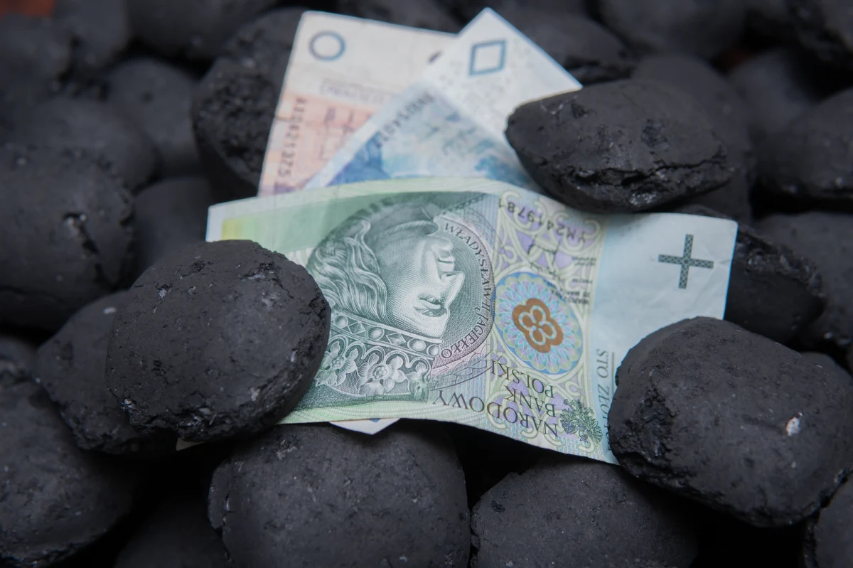 Polacy nie są zadowoleni z reakcji rządu na kryzys energetyczny - wynika z badania, którego wyniki opublikował dzisiaj Polski Alarm Smogowy. Aż 66 proc. wszystkich pytanych jest zdania, że rządzący nie dają sobie rady w czasach, gdy gwałtownie rosną ceny prądu i gazu.