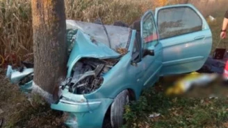 Stawek: Kierowca citroena wjechał w drzewo. Zginęła 77-letnia pasażerka