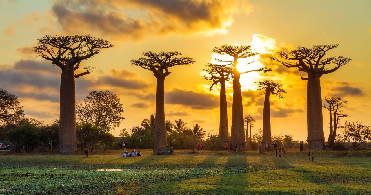 Goście z Afryki? Niezwykłe odkrycie ze średniowiecznej Anglii