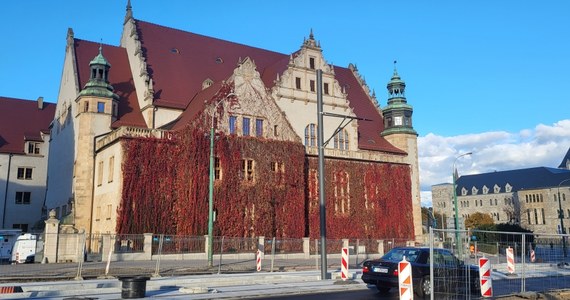 Budynek rektoratu Uniwersytetu im. Adama Mickiewicza w Poznaniu wygląda tej jesieni zjawiskowo. Pnącza porastające ściany zmieniły barwę na typowo jesienną. Zobaczcie fotograficzną relację.